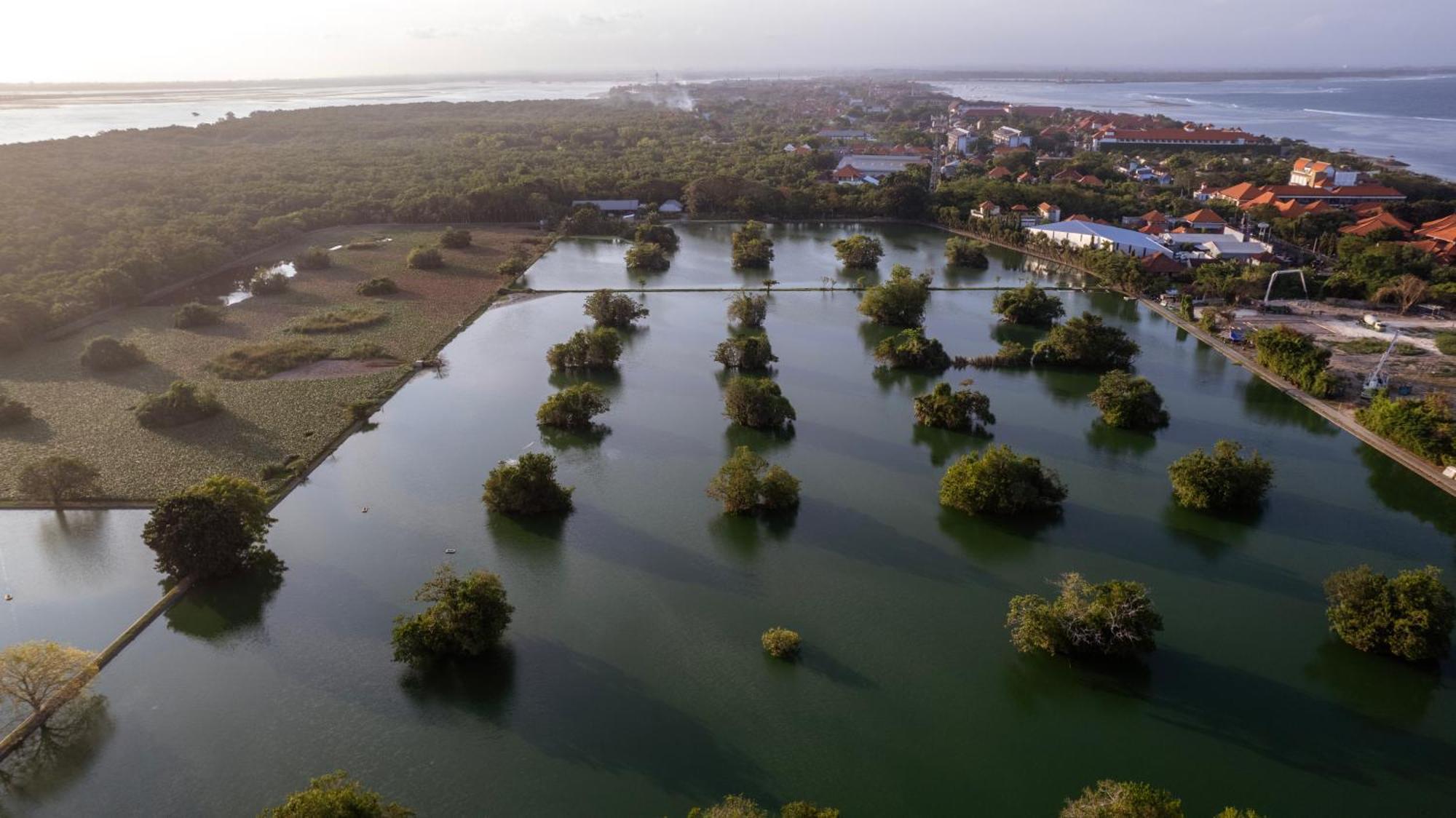 Bali Sunshine Nusa Dua Нуса-Дуа Экстерьер фото